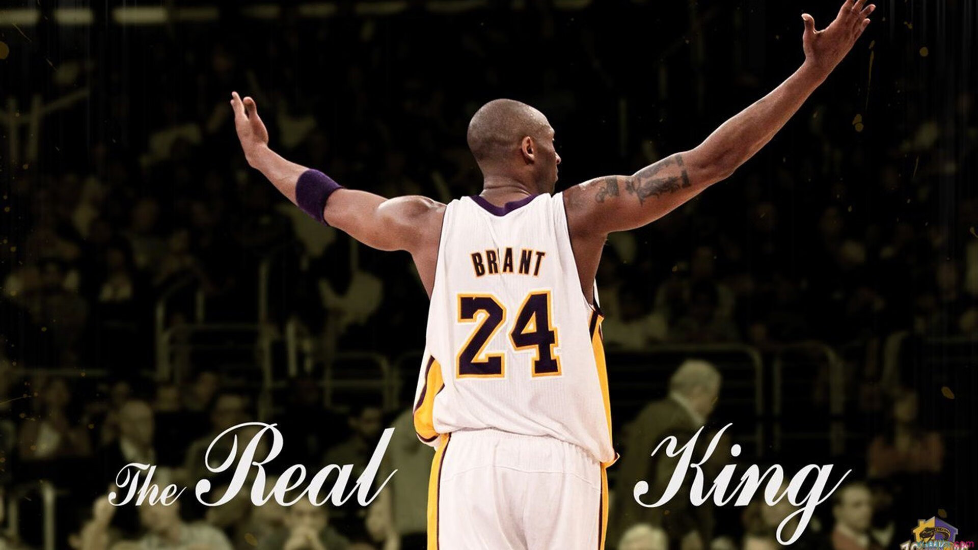 独行侠官方推出新周边产品吸引年轻粉丝，独行侠官方商城